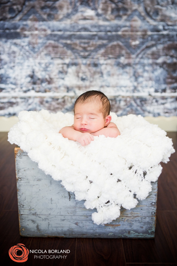 Pasadena Newborn Photos 01